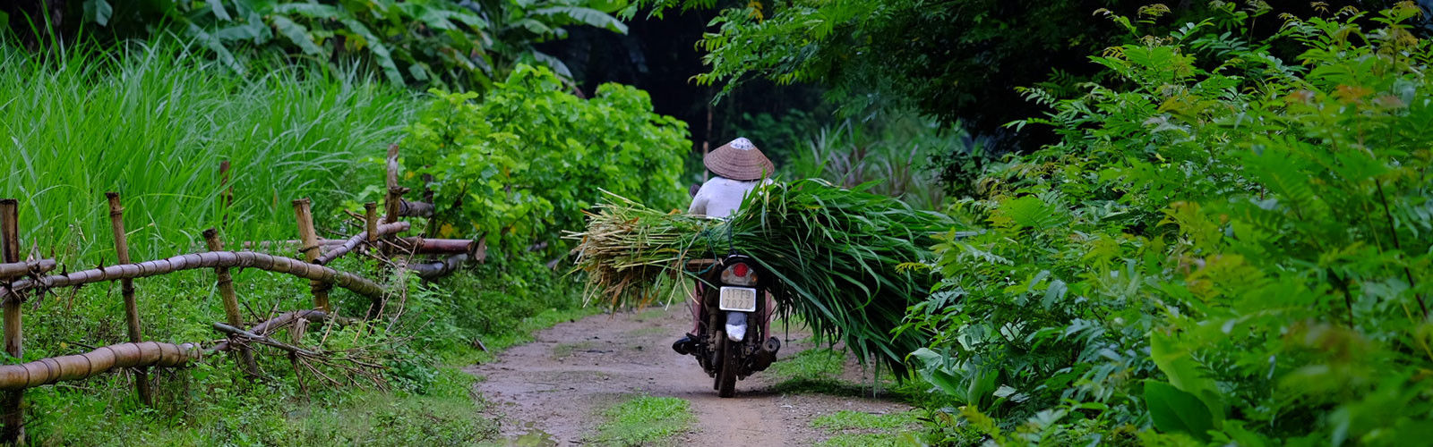 Vacances entre amies dans le nord du Vietnam Double Sens