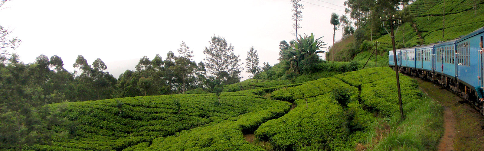 Mon voyage au Sri Lanka par Chantal Double Sens