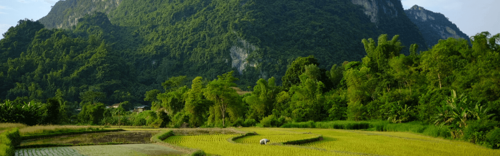 Partager le quotidien d'une famille au Vietnam Double Sens