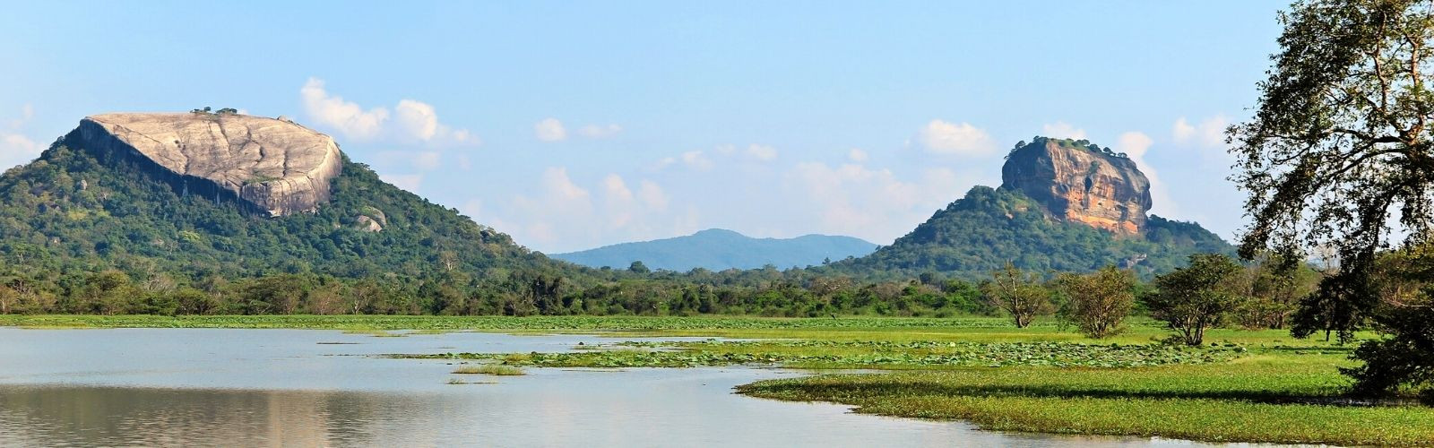 Le retour des voyageurs au Sri Lanka Double Sens