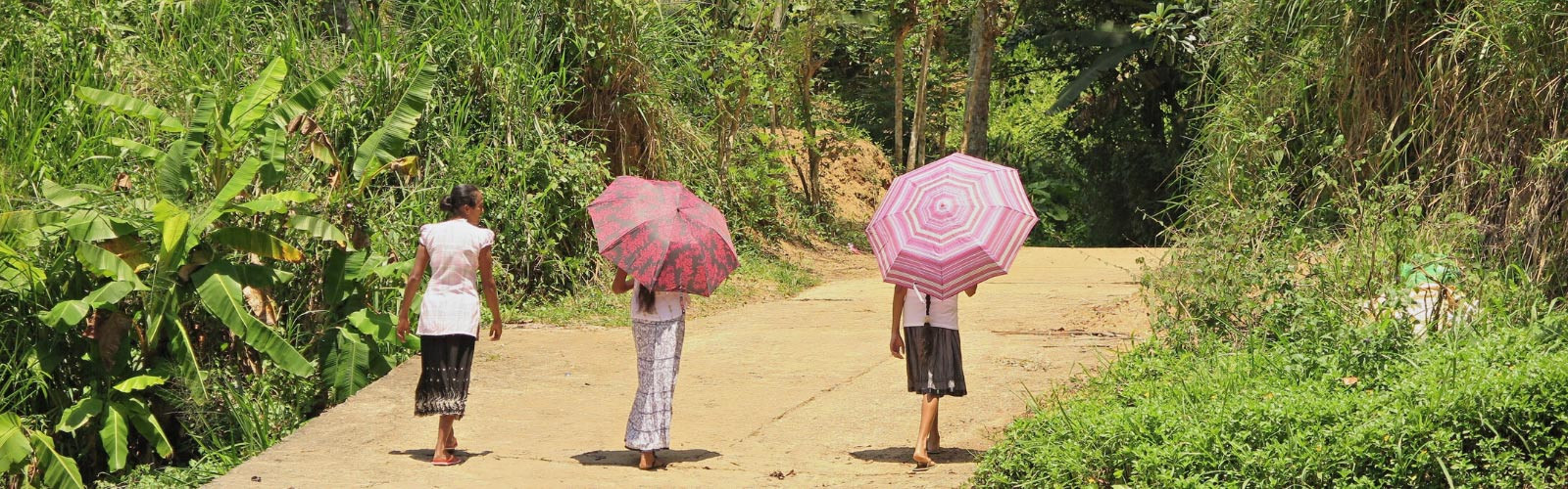 Sri Lanka : "le plus beau voyage" de Sandrine Double Sens