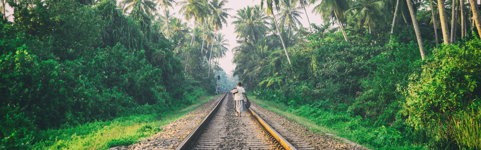 Apéro-voyage au Sri Lanka : la découverte de l'île merveilleuse Double Sens