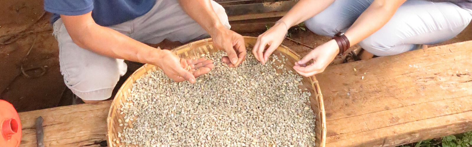 Immersion chez les producteurs de café au Laos Double Sens