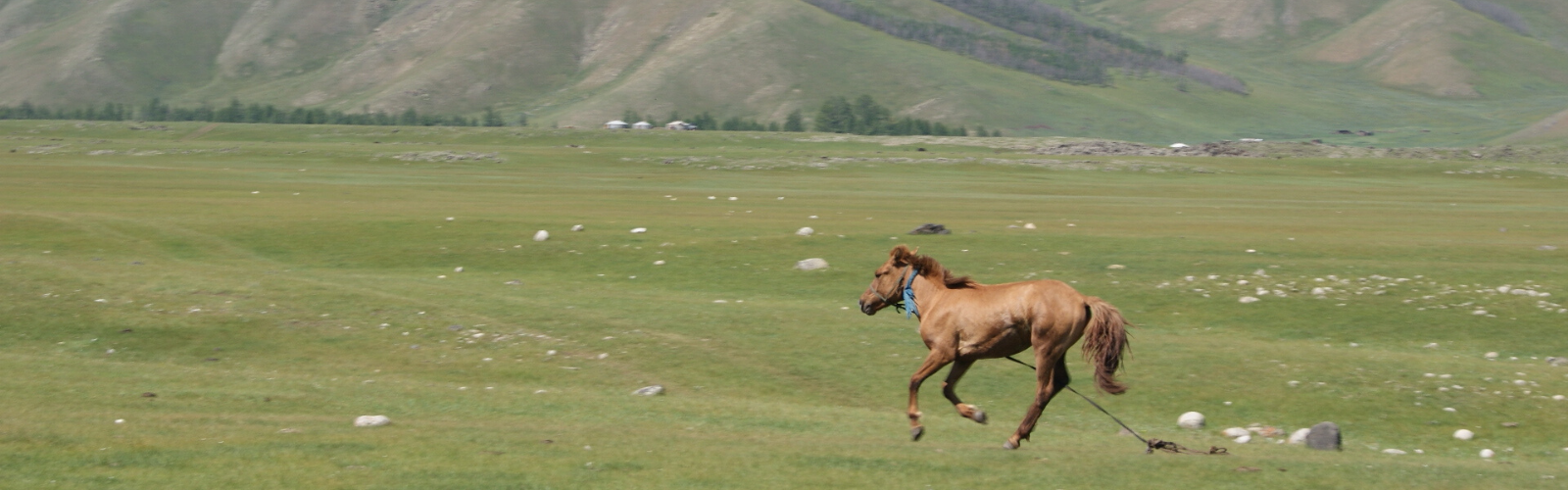 La Mongolie à perte de vue - Entrevue voyageur avec Valérie Double Sens