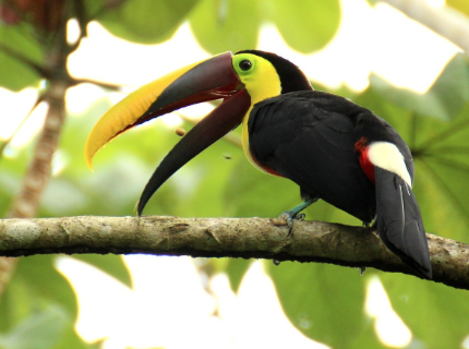 Costa Rica secret
