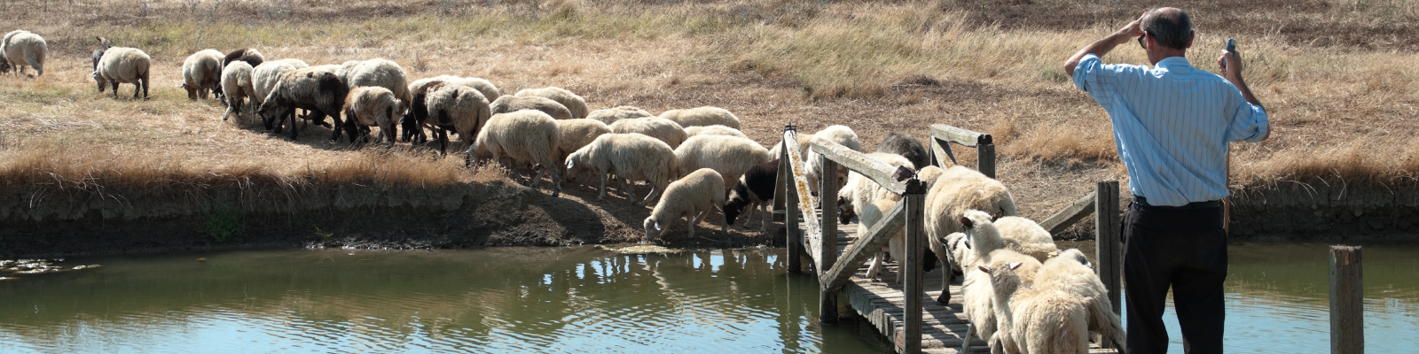 Terres sauvages et lacs oubliés