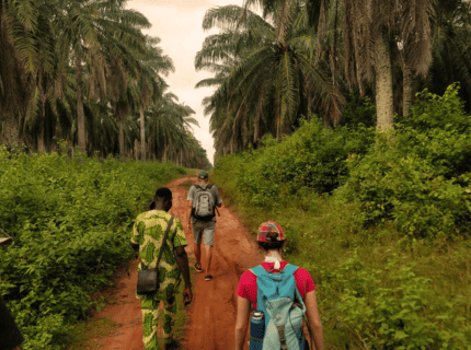 Le Bénin à petit pas