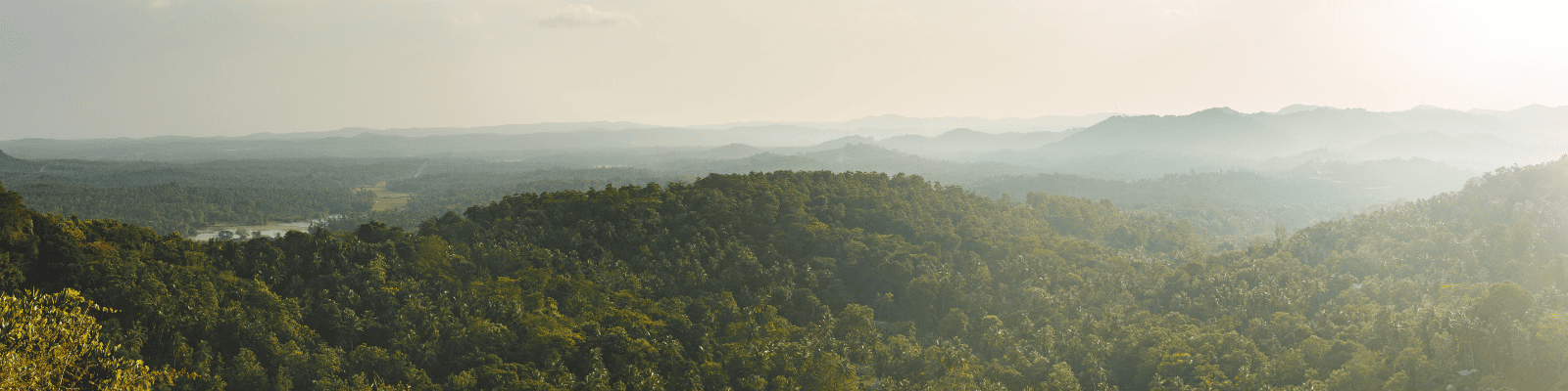 Koggala : déconnexion totale en pleine nature - 2026