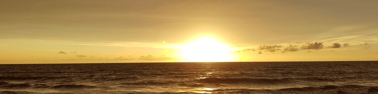 Serendib l'enchanteresse : retour aux sources - 2026