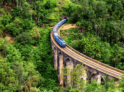 Plages, temples et forêts...
