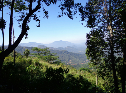 Des rivages du sud aux...