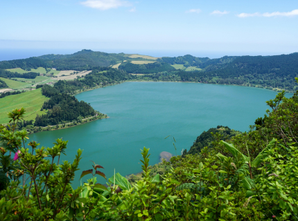 Des vignes de Terceira aux...