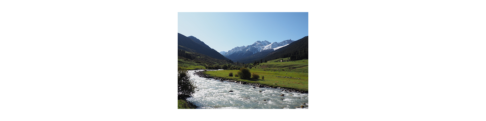 Au pays des bergers nomades