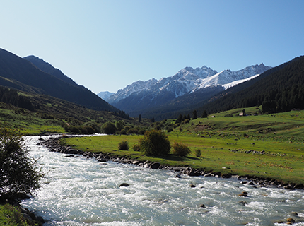 Au pays des bergers nomades