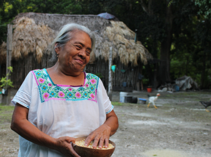 Les communautés du Yucatán
