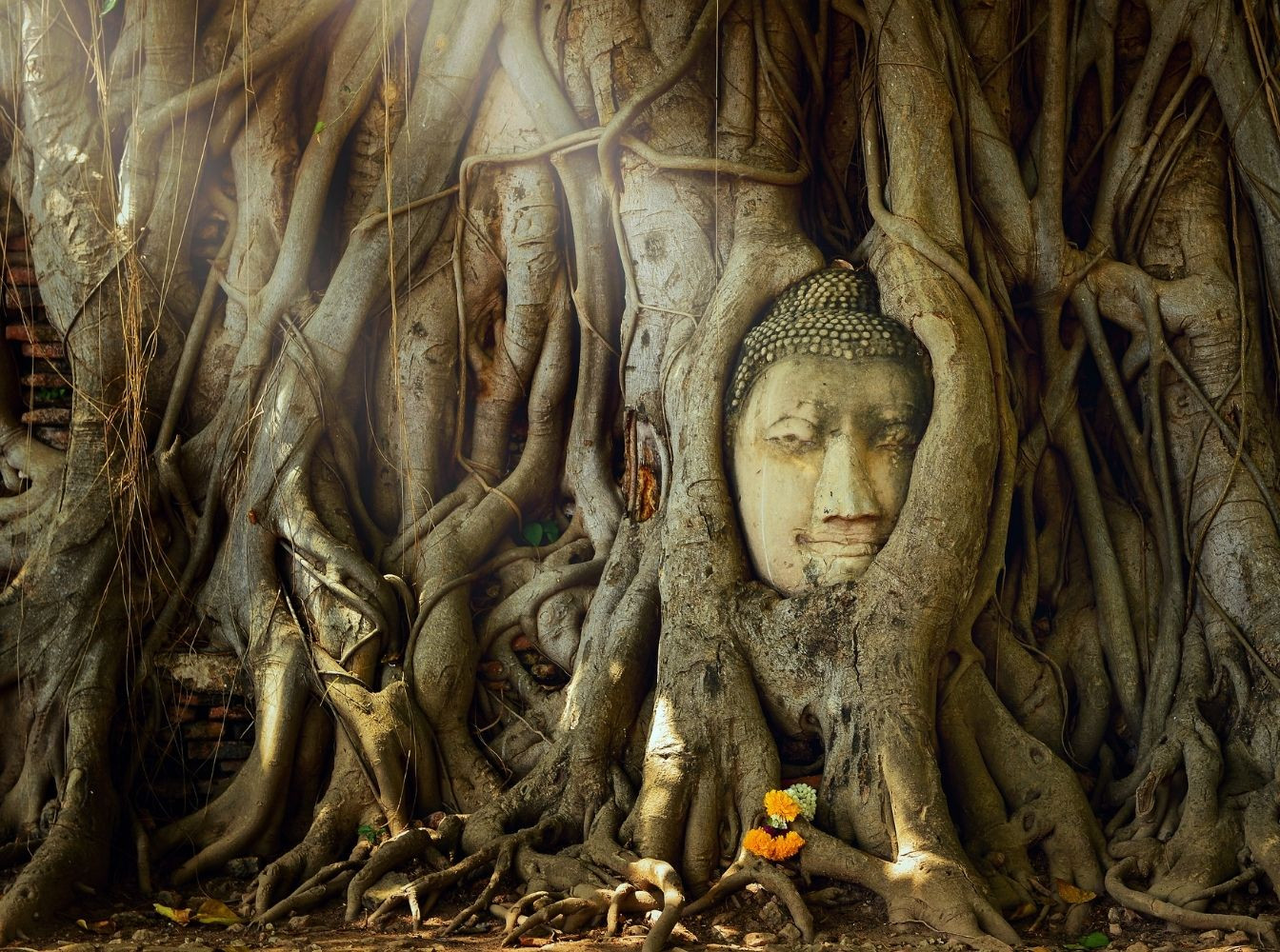 Thaïlande, Charme et...