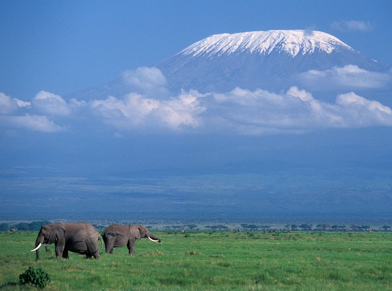 Le Kilimandjaro autrement