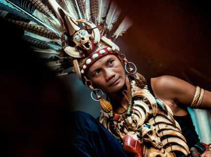 Aventures en forêt Dayak