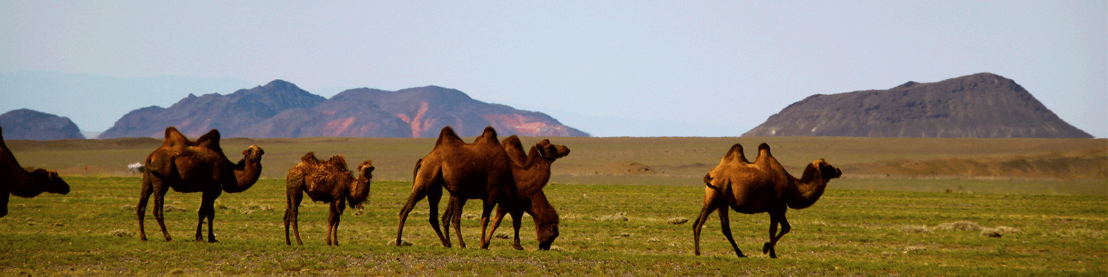 Voyage Mongolie - Expérience solidaire et responsable pour un tourisme durable en Mongolie