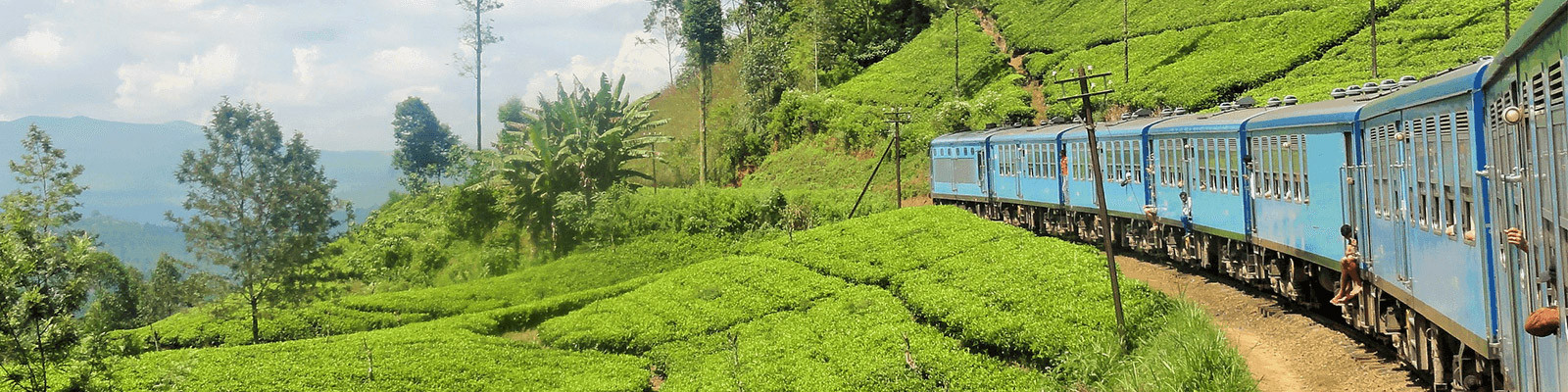 Voyage Sri Lanka responsable - Découvrez le Sri Lanka lors d'un voyage solidaire