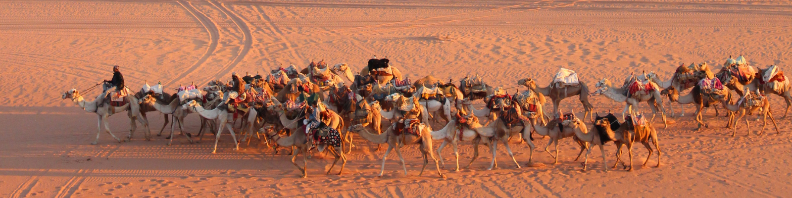 Voyage Moyen-Orient - Découvrez le tourisme solidaire et responsable pour un séjour durable