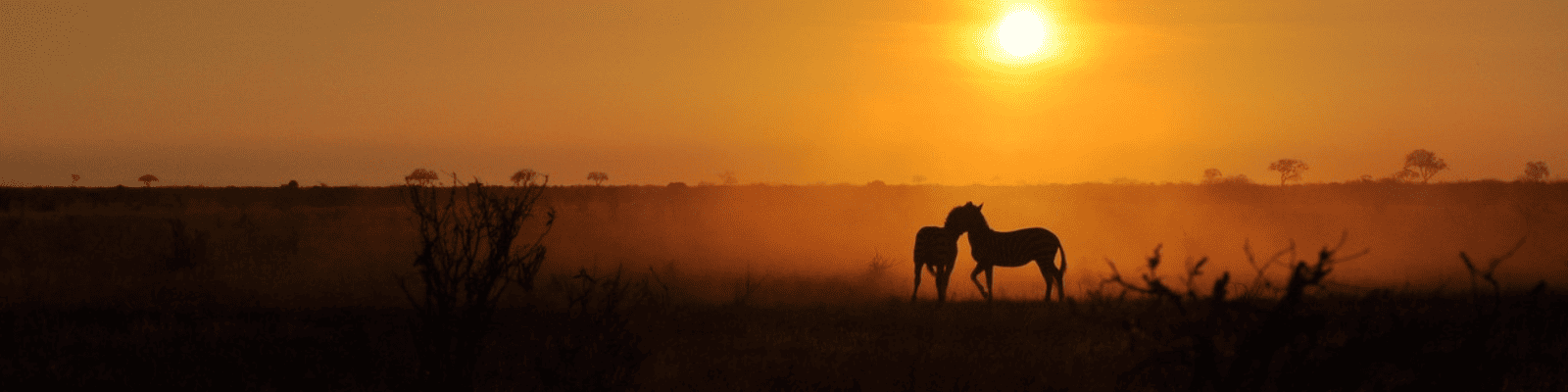 Voyage au Kenya équitable et responsable - Découvrez l'authentique Kenya