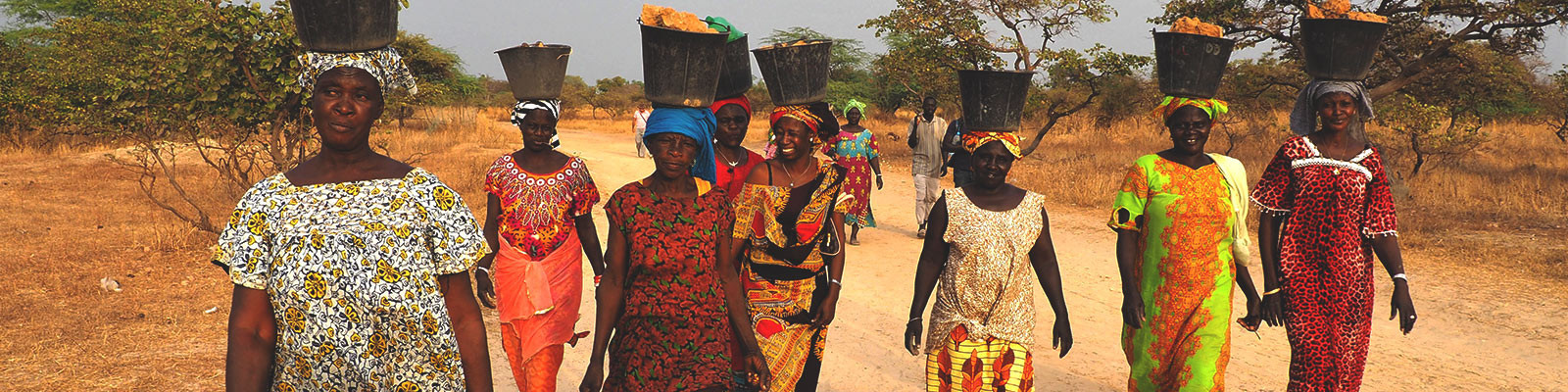 Voyage Sénégal - Découvrez un tourisme solidaire, responsable et durable au  Sénégal