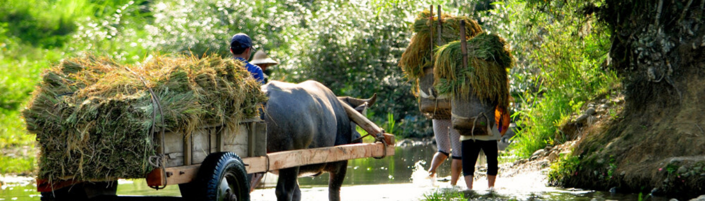 Voyage Vietnam 16 jours Immersion chez les Dzao Double Sens