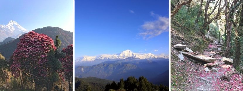 annapurna