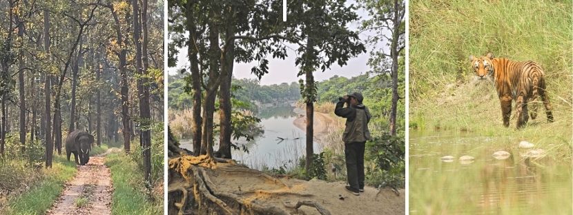 bardia national park