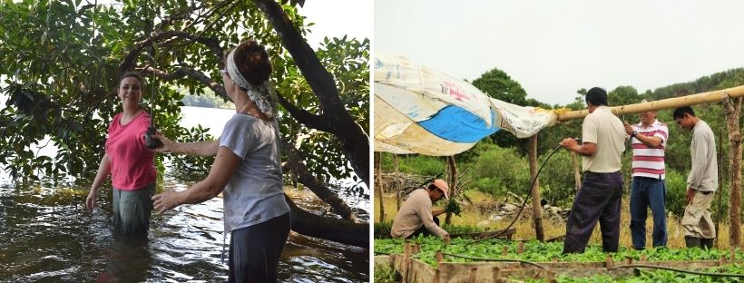 ecotourisme et protection de l'environnement