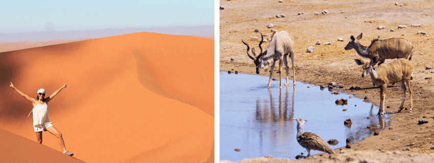 voyage-aventure-namibie