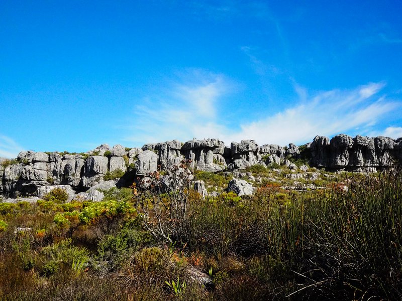 Skeleton's Gorge,Table Mountain, Cape Town en Afrique du Sud