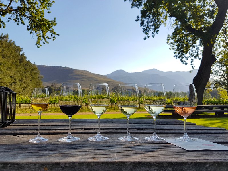 Dégustation de vins de vignoble en Afrique du Sud.