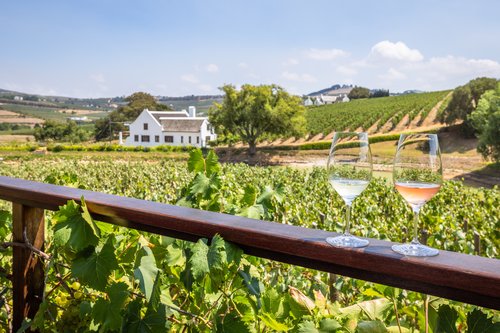 Dégustation de vins dans les vignobles et les vins d'Aaldering, Stellenbosch, Afrique du Sud.