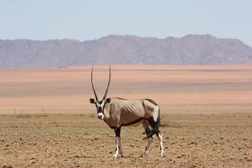 Namibie