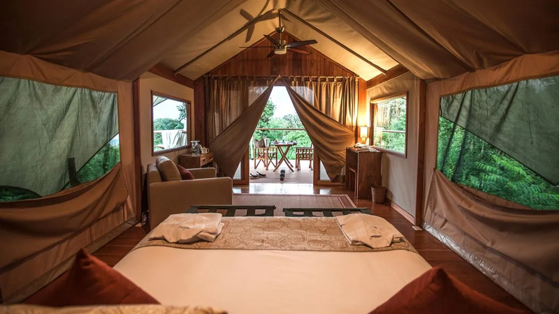 Safari Camp