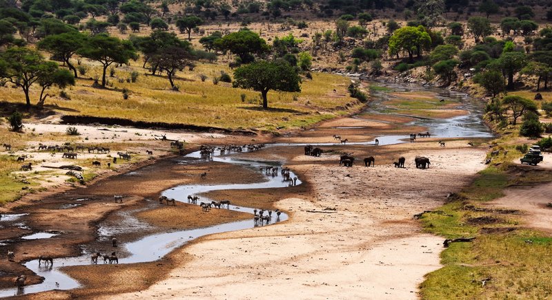 Tarangire en Tanzanie