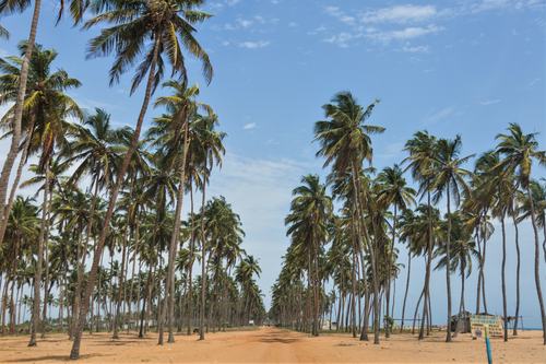 _RO_0162 LBR 281017_BENIN_DOUBLESSENS_BENIN_2017_Laurentbecotruiz.net