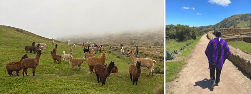 equateur