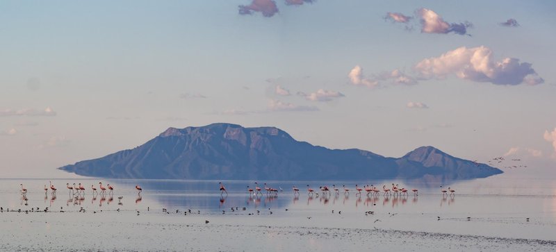 Lac Natron Tanzanie