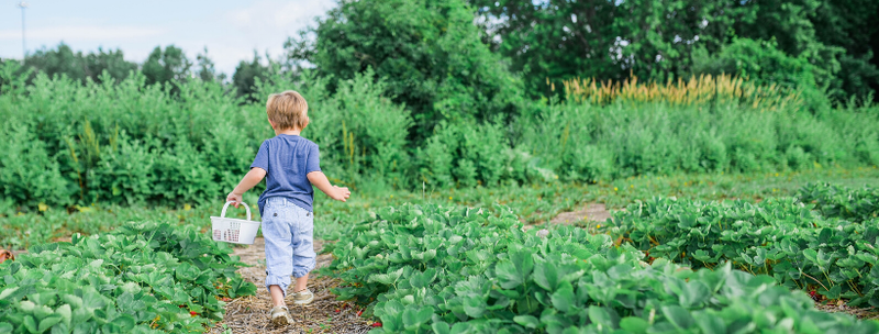 nature enfant france