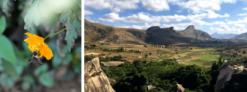 nature tourisme d'aventure