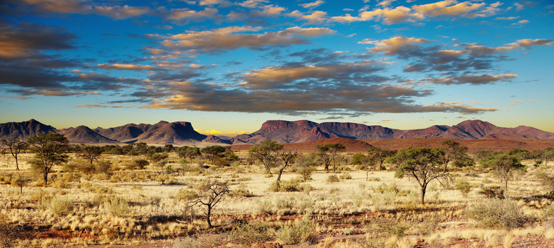 shutterstock_19239454_desertKalahari