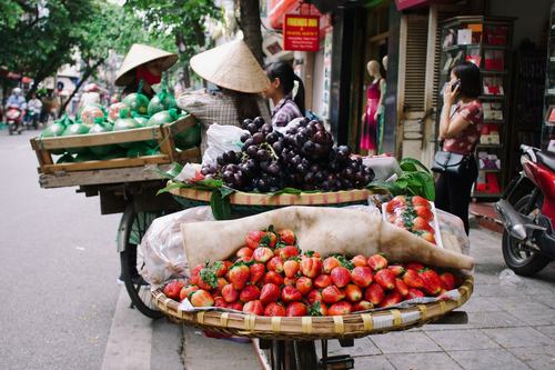 tray of tomatoes 🗺️