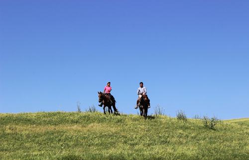 Locaux à cheval